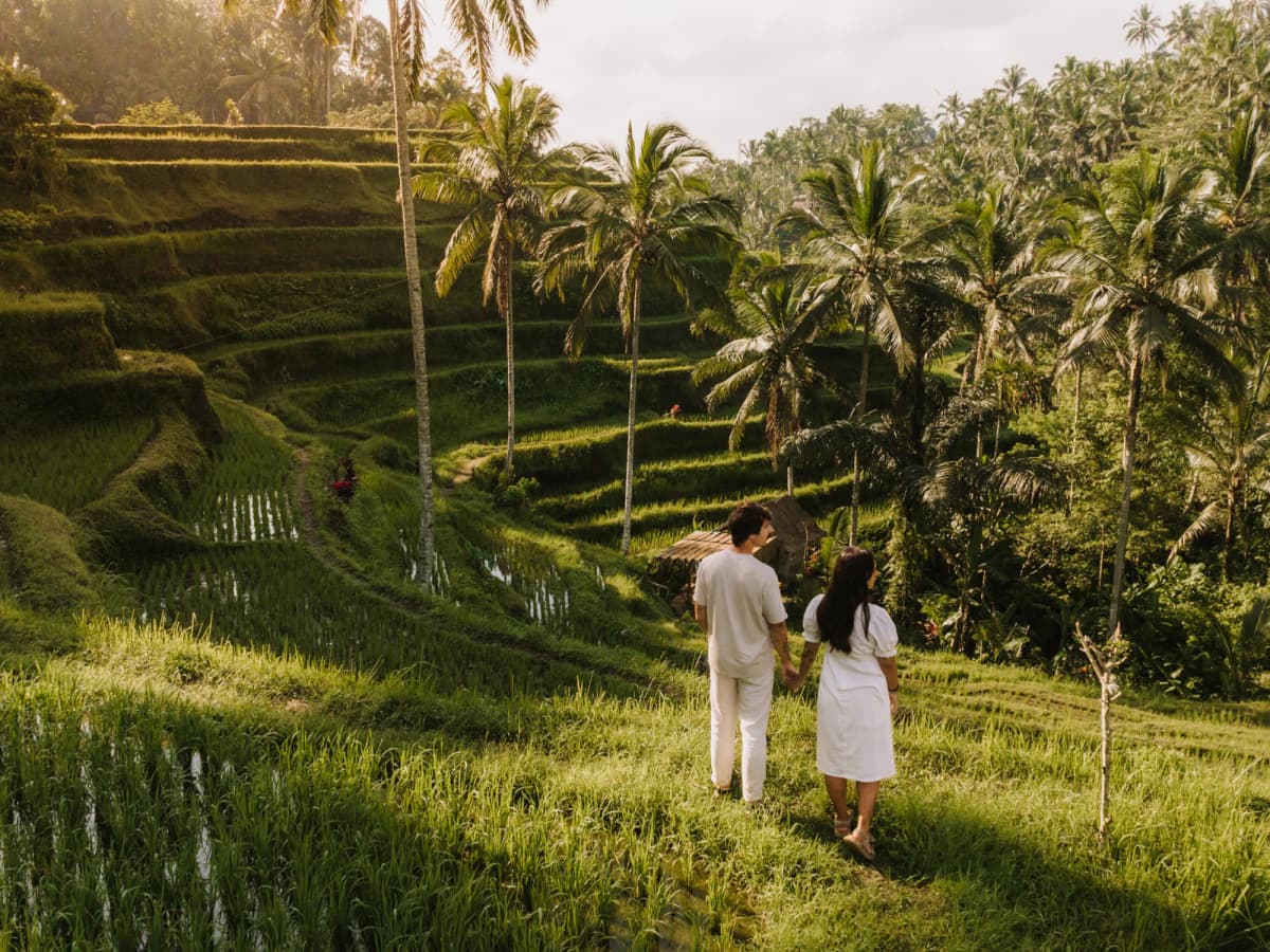 A & L — Bali, Indonesia