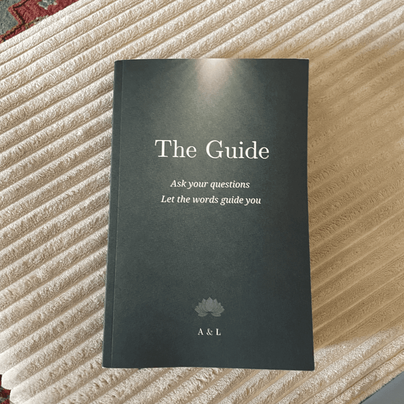 The Guide book on a surface